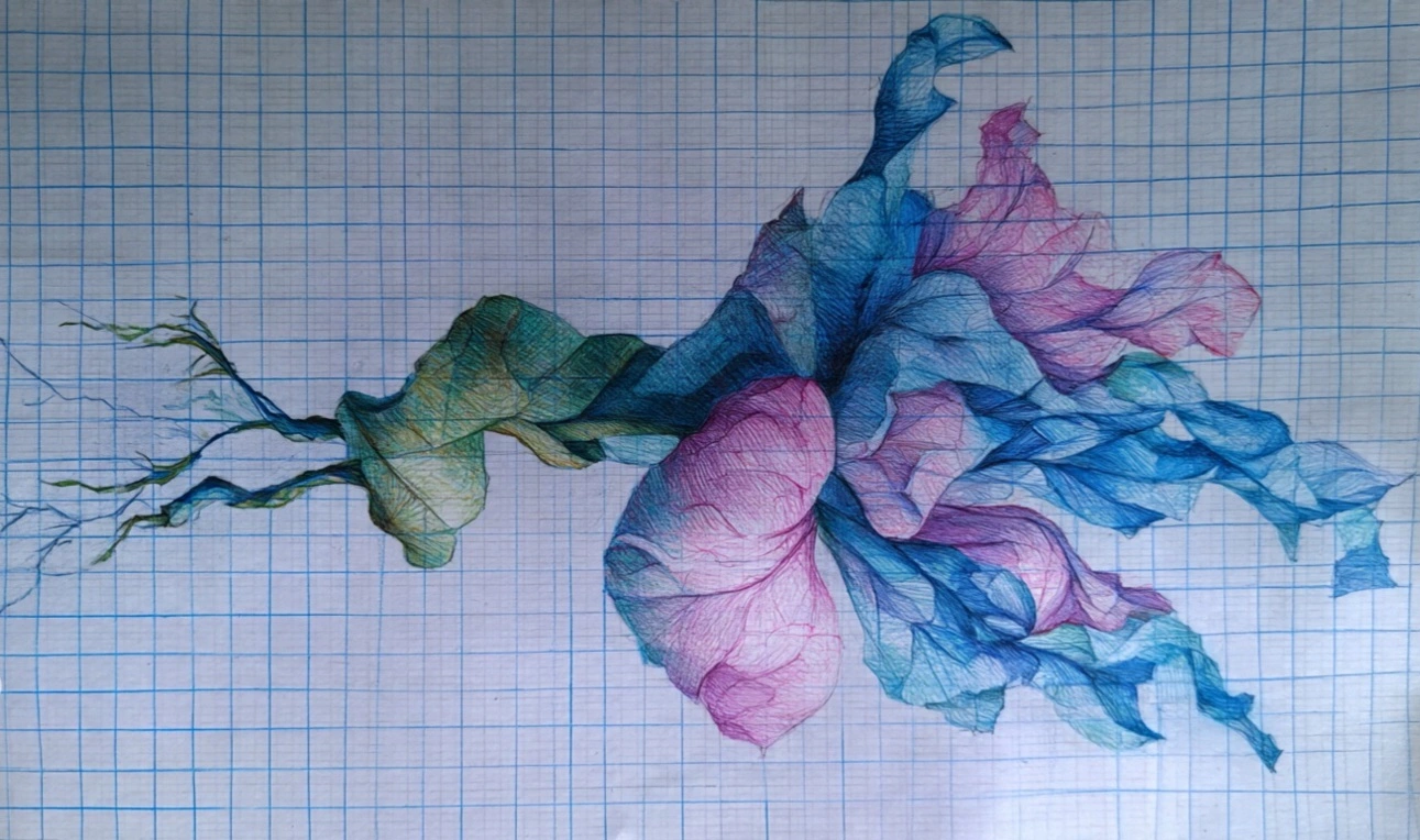 Nem Sempre São Flores